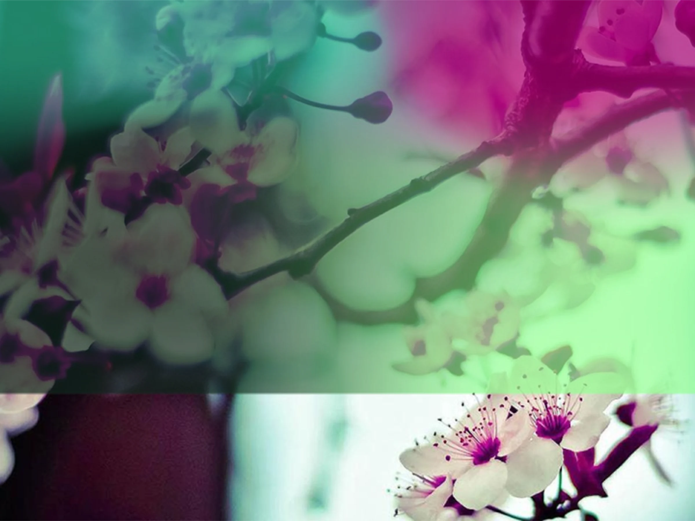 Pink and green botanical detail from the MUTEK x Reebok x SVD decal artwork